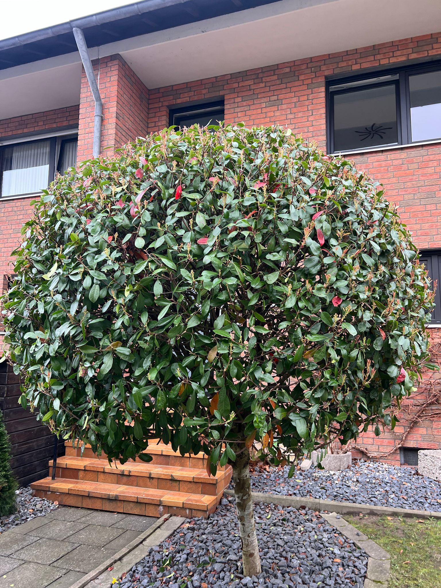 Beratung und Planung